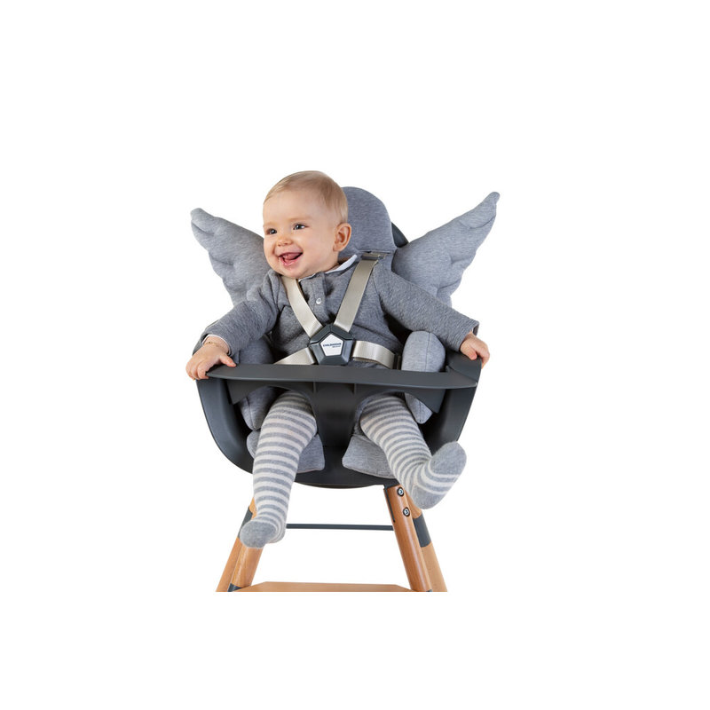 Coussin réducteur naissance pour chaise haute Evolu Newborn gris