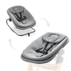 4007923664292.main.highchair bouncer dark grey melange